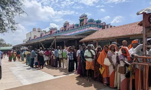 வார விடுமுறை: தண்டாயுதபாணி சுவாமியை தரிசனம் செய்ய பழனியில் குவிந்த பக்தர்கள்