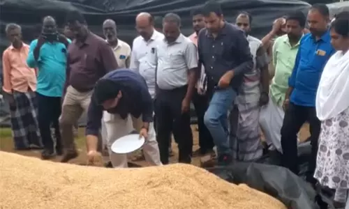 புதுக்கோட்டை நெல் கொள்முதல் நிலையங்களில் மத்திய குழுவினர் ஆய்வு