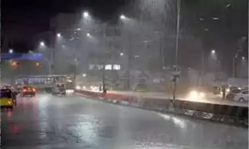 13 மாவட்டங்களில் காலை 7மணி வரை மழைக்கு வாய்ப்பு 13 மாவட்டங்களில் காலை 7மணி வரை மழைக்கு வாய்ப்பு