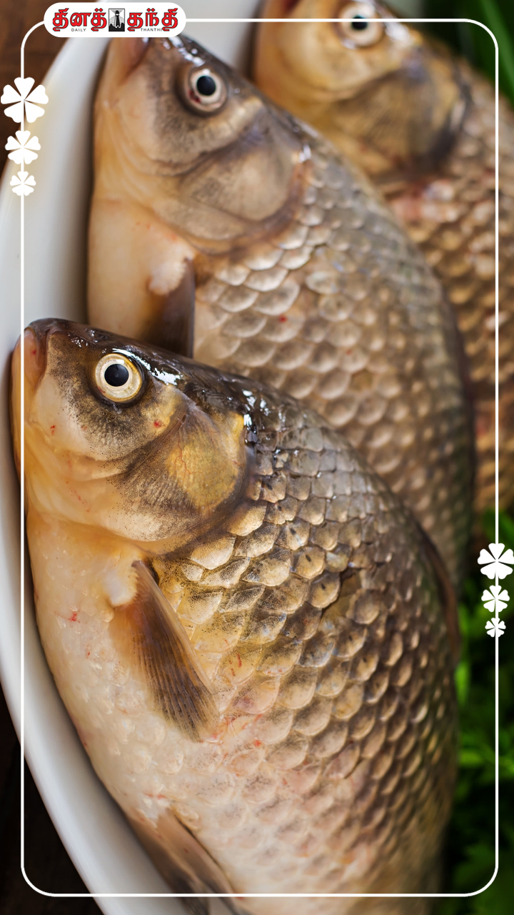அடிக்கடி மீன் சாப்பிடலாமா?