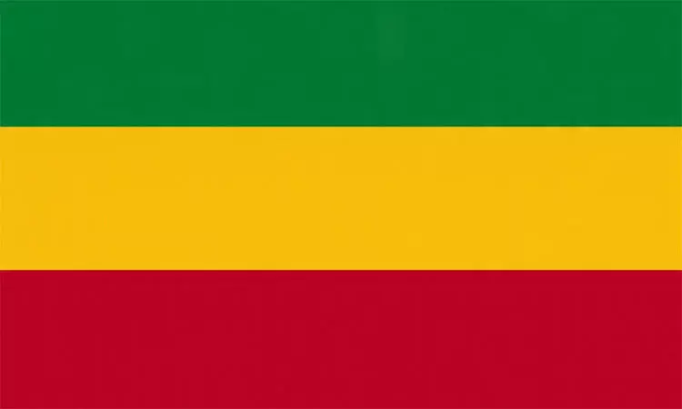 மாலி நாட்டில் எரிபொருள் பற்றாக்குறையால் பள்ளி, கல்லூரிகள் மூடல் மாலி நாட்டில் எரிபொருள் பற்றாக்குறையால் பள்ளி, கல்லூரிகள் மூடல்