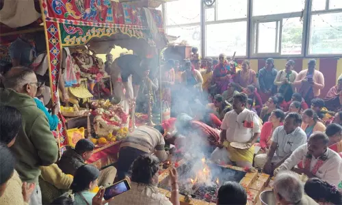 நீலகிரி: முருகன் கோவில்களில் திருக்கல்யாண உற்சவம் கோலாகலம்