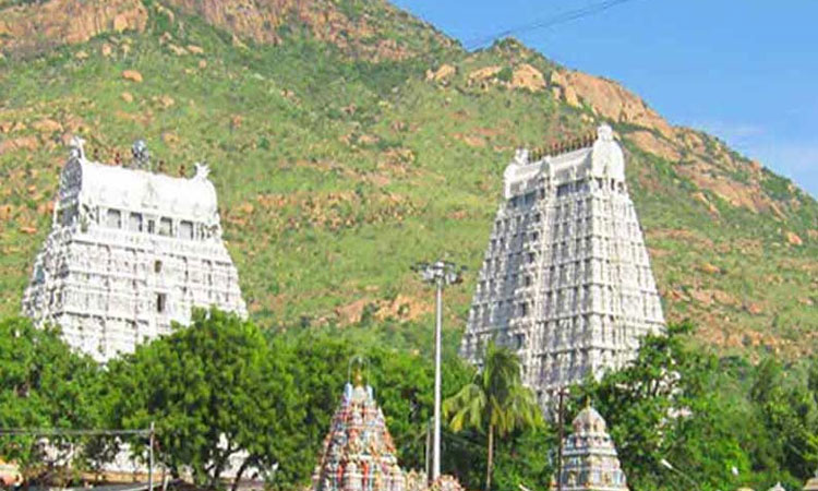 அருணாசலேஸ்வரர் கோவிலில் வருகிற 4-ந் தேதி அன்னாபிஷேகம்