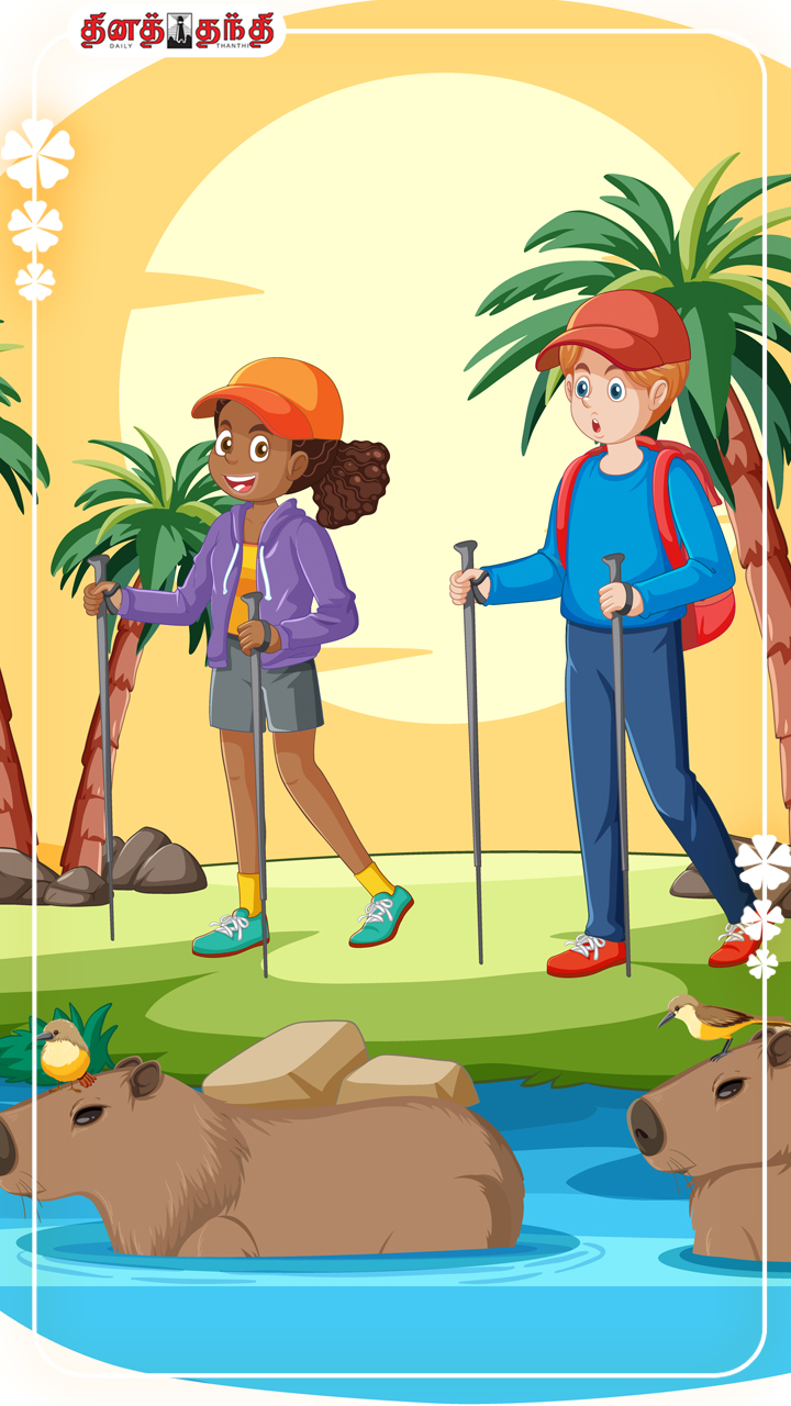 மழைக்கால சுற்றுலாவில் மனதில் கொள்ள வேண்டிய 08 விஷயங்கள்.!!