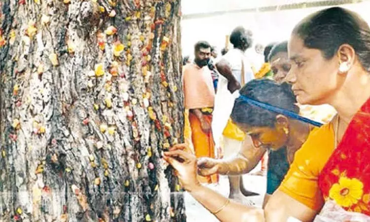 வேண்டுதல் நிறைவேற முருகனுக்கு மிட்டாய் நைவேத்தியம்