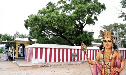 வேண்டுதல் நிறைவேற முருகனுக்கு மிட்டாய் நைவேத்தியம் வேண்டுதல் நிறைவேற முருகனுக்கு மிட்டாய் நைவேத்தியம்