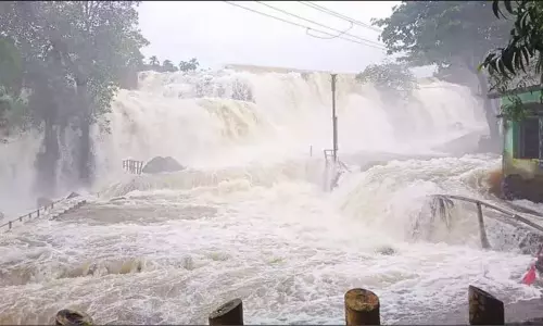 திற்பரப்பு அருவியில் குளிக்க 8வது நாளாக தடை நீட்டிப்பு