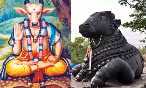 நலம் தரும் நந்தி வழிபாடு நலம் தரும் நந்தி வழிபாடு