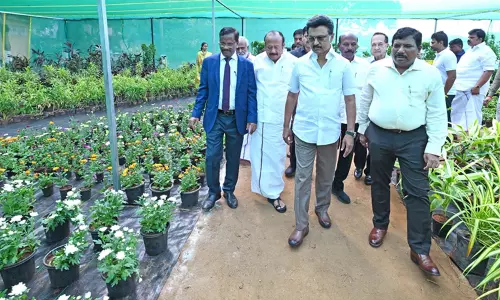 கிண்டியில் 118 ஏக்கர் பரப்பில் தோட்டக்கலைப் பணிகள் - முதல்-அமைச்சர் தொடங்கி வைத்தார் கிண்டியில் 118 ஏக்கர் பரப்பில் தோட்டக்கலைப் பணிகள் - முதல்-அமைச்சர் தொடங்கி வைத்தார்