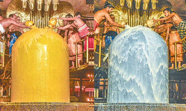 ராஜராஜ சோழன் சதய விழா: பெருவுடையார்-பெரியநாயகி அம்மனுக்கு 48 வகையான அபிஷேகம்