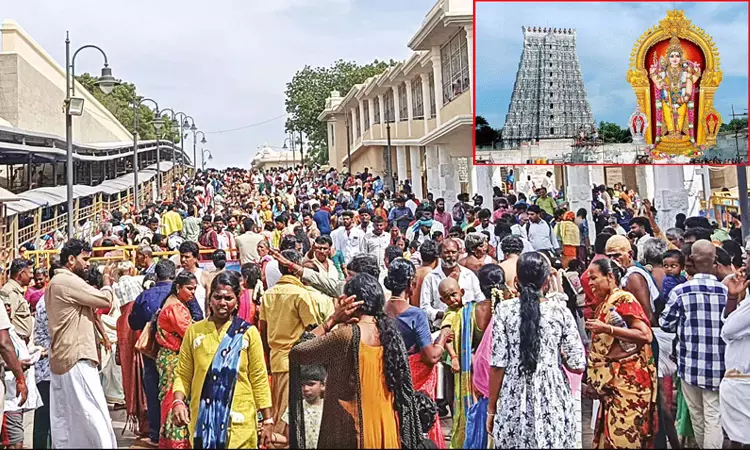 விடுமுறை தினம்: திருச்செந்தூர் கோவிலில் 5 மணி நேரம் காத்திருந்து பக்தர்கள் தரிசனம் விடுமுறை தினம்: திருச்செந்தூர் கோவிலில் 5 மணி நேரம் காத்திருந்து பக்தர்கள் தரிசனம்