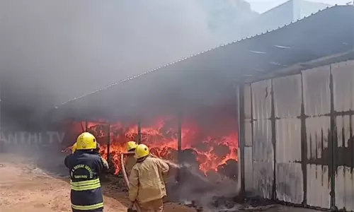 விருதுநகர்: தனியார் நூற்பாலையில் பயங்கர தீ விபத்து - பல லட்சம் ரூபாய் மதிப்பிலான பஞ்சு எரிந்து நாசம்