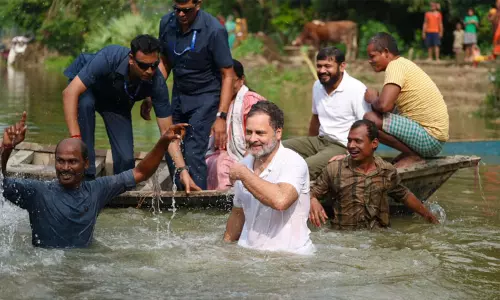 பீகார் பிரசாரத்தின் மத்தியில் மீன் பிடித்து, நீச்சலடித்து மகிழ்ந்த ராகுல் காந்தி