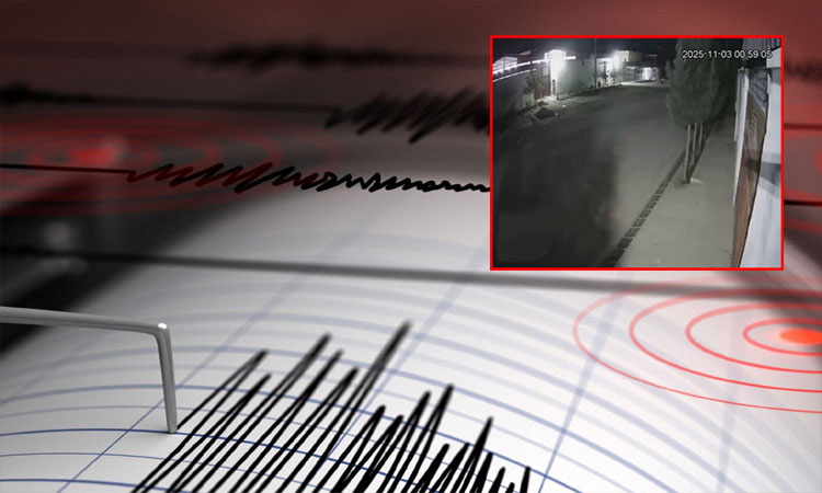 ஆப்கானிஸ்தானில் கடுமையான நிலநடுக்கம்: 10 பேர் பலி; 260 பேர் காயம் - வைரலான வீடியோ