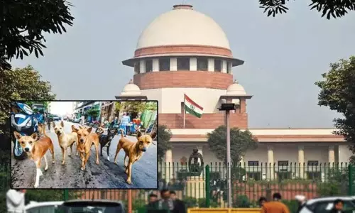 தெரு நாய்கள் வழக்கு: 7ம் தேதி தீர்ப்பளிக்கும் சுப்ரீம் கோர்ட்டு தெரு நாய்கள் வழக்கு: 7ம் தேதி தீர்ப்பளிக்கும் சுப்ரீம் கோர்ட்டு
