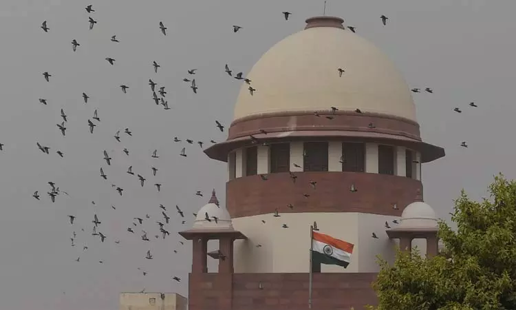 சிறப்பு வாக்காளர் பட்டியல் திருத்தப்பணிக்கு எதிராக தி.மு.க. வழக்கு: சுப்ரீம் கோர்ட்டில் விரைவில் விசாரணை சிறப்பு வாக்காளர் பட்டியல் திருத்தப்பணிக்கு எதிராக தி.மு.க. வழக்கு: சுப்ரீம் கோர்ட்டில் விரைவில் விசாரணை