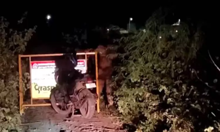 இன்றைய முக்கிய செய்திகள்.. சில வரிகளில்.. 04-11-2025 இன்றைய முக்கிய செய்திகள்.. சில வரிகளில்.. 04-11-2025