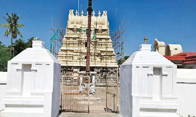 தீர்த்தனகிரி சிவக்கொழுந்தீஸ்வரர் கோவில்