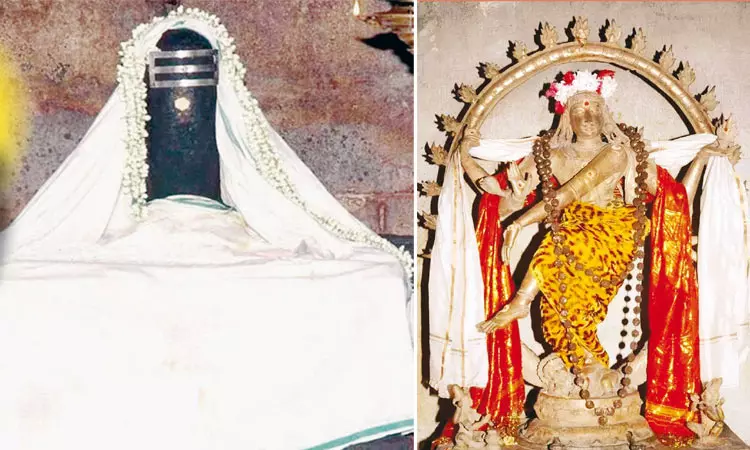 தீர்த்தனகிரி சிவக்கொழுந்தீஸ்வரர் கோவில் தீர்த்தனகிரி சிவக்கொழுந்தீஸ்வரர் கோவில்