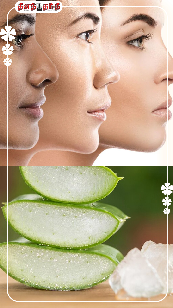 கற்றாழை சருமத்திற்கு நல்லதுதான்.. ஆனா இவ்வளவு நல்லதுன்னு தெரியாது கற்றாழை சருமத்திற்கு நல்லதுதான்.. ஆனா இவ்வளவு நல்லதுன்னு தெரியாது