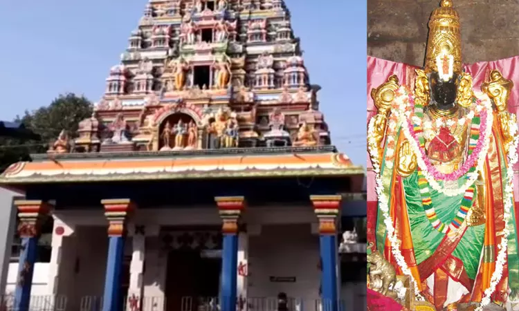 சர்ப்ப தோஷம் போக்கும் மலைமண்டல பெருமாள் கோவில் சர்ப்ப தோஷம் போக்கும் மலைமண்டல பெருமாள் கோவில்