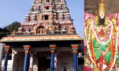 சர்ப்ப தோஷம் போக்கும் மலைமண்டல பெருமாள் கோவில் சர்ப்ப தோஷம் போக்கும் மலைமண்டல பெருமாள் கோவில்