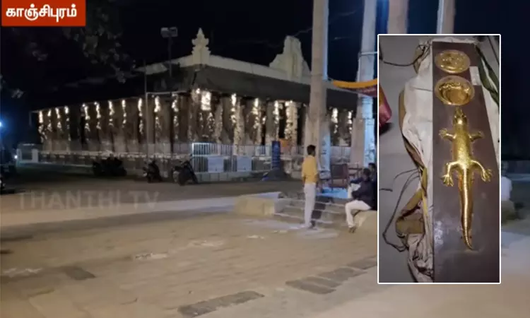 காஞ்சிபுரம் வரதராஜ பெருமாள் கோவிலில் ‘தங்க பல்லி’ மாயமா? - பரபரப்பு புகார்