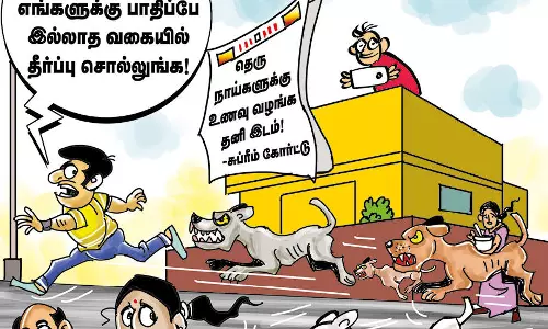 தெருநாய் தொல்லைக்கு இது தீர்வு அல்ல!