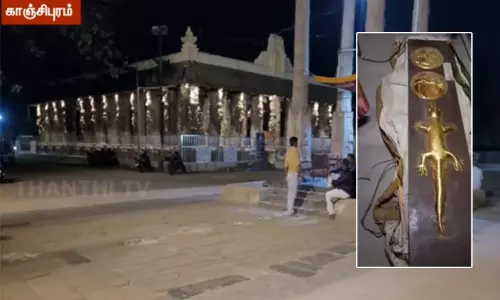 காஞ்சிபுரம் வரதராஜ பெருமாள் கோவிலில் ‘தங்க பல்லி’ மாயமா? - பரபரப்பு புகார் காஞ்சிபுரம் வரதராஜ பெருமாள் கோவிலில் ‘தங்க பல்லி’ மாயமா? - பரபரப்பு புகார்