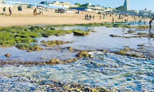 திருச்செந்தூரில் 2-வது நாளாக உள்வாங்கிய கடல் திருச்செந்தூரில் 2-வது நாளாக உள்வாங்கிய கடல்