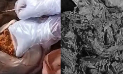 மாட்டின் வயிற்றில் 10 கிலோ பிளாஸ்டிக் மாட்டின் வயிற்றில் 10 கிலோ பிளாஸ்டிக்