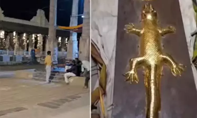 காஞ்சிபுரம் வரதராஜர் கோவிலில் ‘தங்க பல்லி’... ... இன்றைய முக்கிய செய்திகள்.. சில வரிகளில்.. 07-11-2025