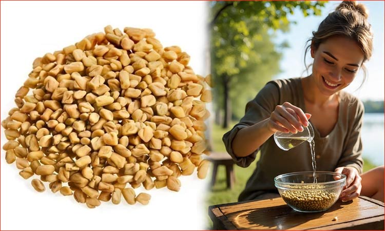 கொதிக்க வைத்தல் - ஊற வைத்தல்: வெந்தய நீரை எப்படி குடிப்பது நல்லது?