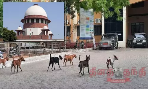 நாடு முழுவதும் பொது இடங்களில் சுற்றித்திரியும் தெருநாய்களை அகற்ற சுப்ரீம்கோர்ட்டு உத்தரவு நாடு முழுவதும் பொது இடங்களில் சுற்றித்திரியும் தெருநாய்களை அகற்ற சுப்ரீம்கோர்ட்டு உத்தரவு