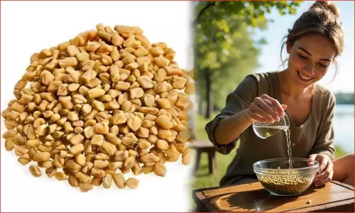 கொதிக்க வைத்தல் - ஊற வைத்தல்: வெந்தய நீரை எப்படி குடிப்பது நல்லது? கொதிக்க வைத்தல் - ஊற வைத்தல்: வெந்தய நீரை எப்படி குடிப்பது நல்லது?