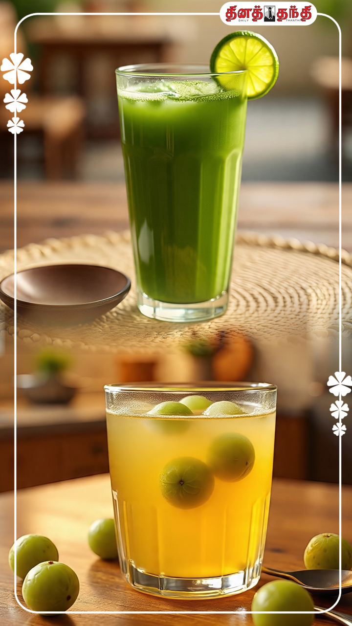 உடலில் ஏற்படும் நோய்களை போக்கும் மூலிகை சாறுகள்! உடலில் ஏற்படும் நோய்களை போக்கும் மூலிகை சாறுகள்!