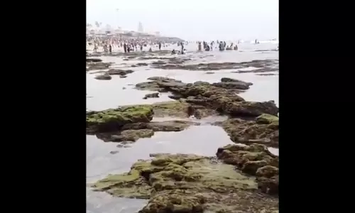 திருச்செந்தூரில் திடீரென உள்வாங்கிய கடல் திருச்செந்தூரில் திடீரென உள்வாங்கிய கடல்