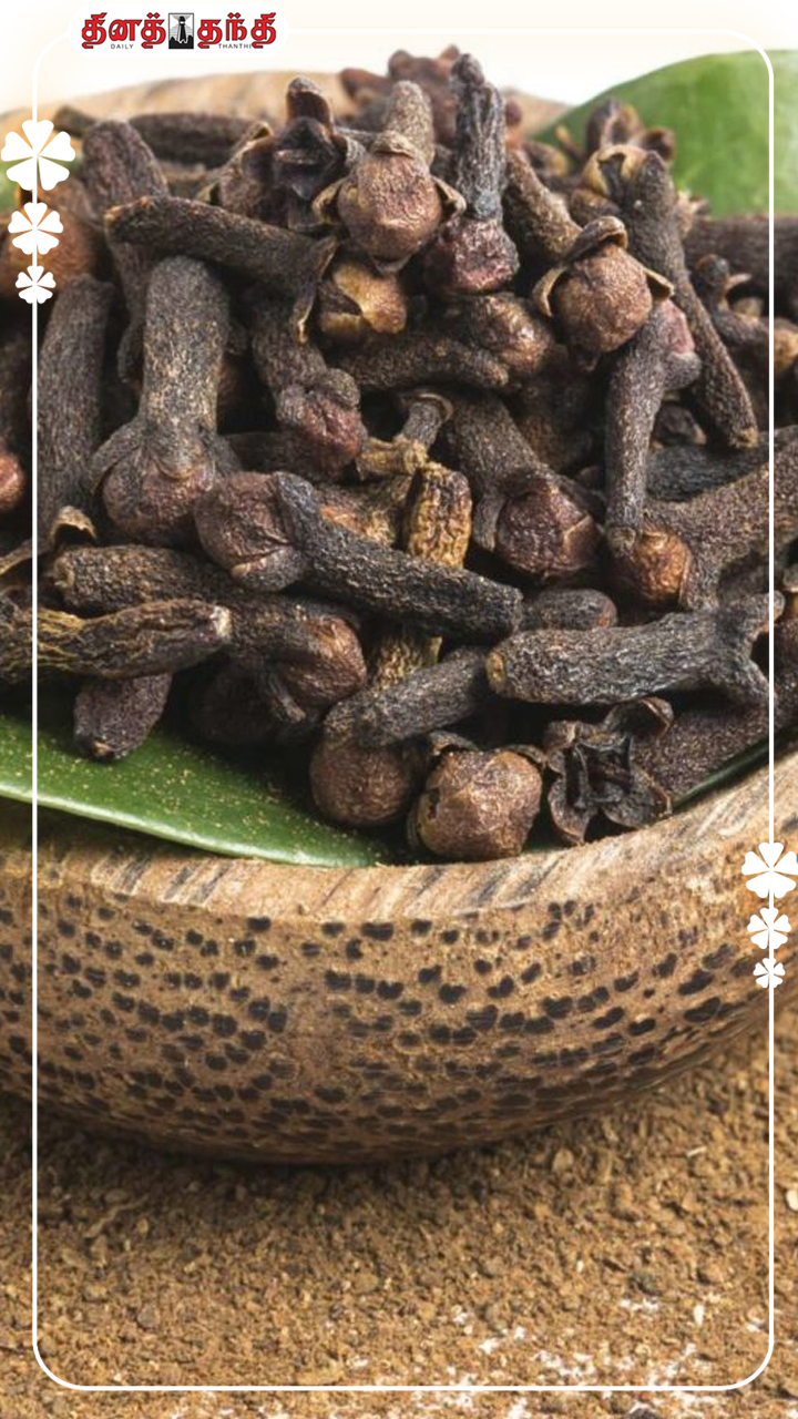 இலவங்கம் (கிராம்பு) சாப்பிடுவதால் இவ்வளவு நன்மைகளா?