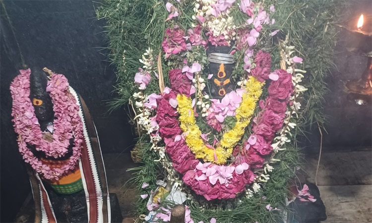 செங்கோட்டை பகுதியில் சங்கடஹர சதுர்த்தி சிறப்பு வழிபாடு