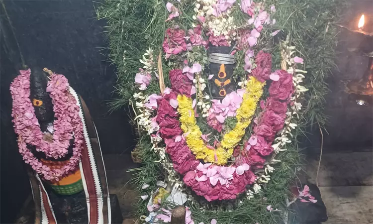 செங்கோட்டை பகுதியில் சங்கடஹர சதுர்த்தி சிறப்பு வழிபாடு