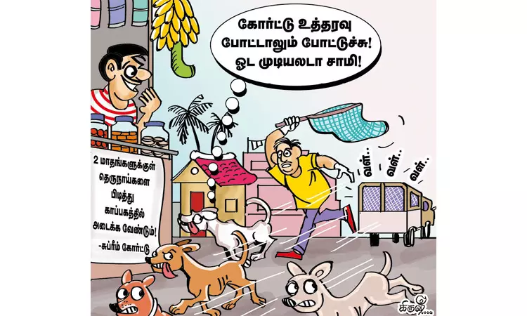 பொது இடங்களில் தெரு நாய்களுக்கு இடம் இல்லை