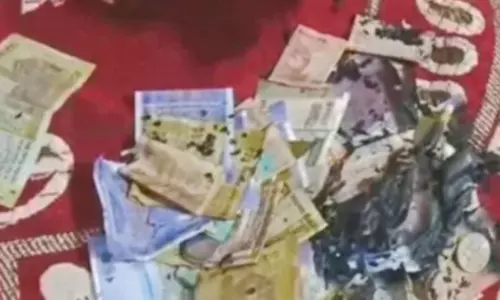 எரியும் கற்பூரத்தை உண்டியலில் போட்ட பெண்: ரூபாய் நோட்டுகள் கருகி நாசம்