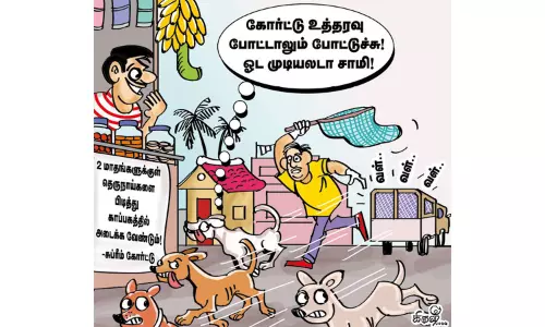 பொது இடங்களில் தெரு நாய்களுக்கு இடம் இல்லை பொது இடங்களில் தெரு நாய்களுக்கு இடம் இல்லை