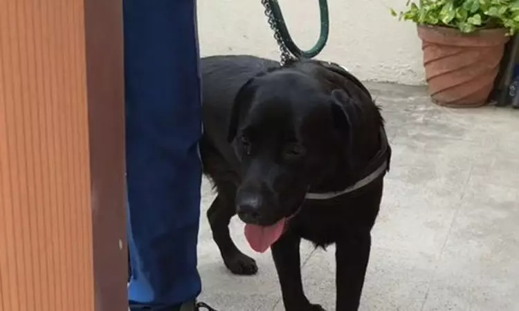 ஈசிஆரில் உள்ள நடிகர் அஜித்குமார் வீட்டிற்கு... ... இன்றைய முக்கிய செய்திகள்.. சில வரிகளில்.. 11-11-2025