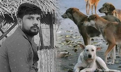 நெல்லை அருகே ரேபிஸ் தாக்கி தொழிலாளி உயிரிழப்பு