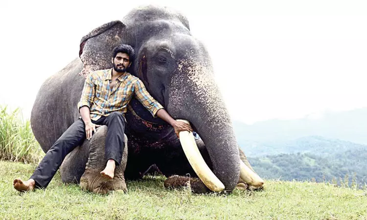 கும்கி 2 திரைப்படத்தை வெளியிட இடைக்கால தடை