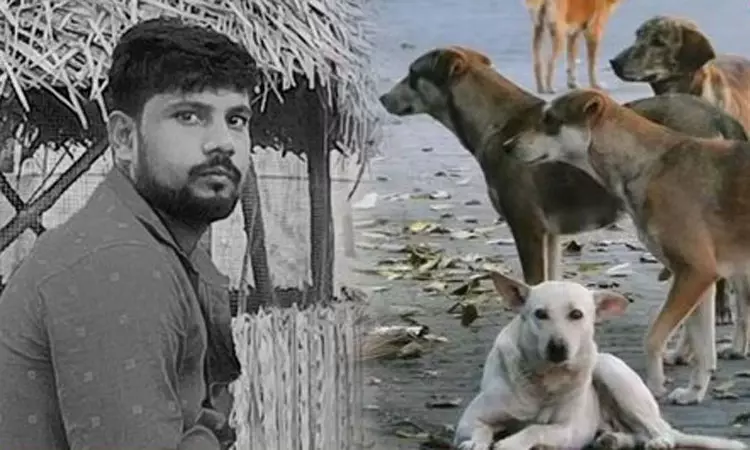 நெல்லை அருகே ரேபிஸ் தாக்கி தொழிலாளி உயிரிழப்பு