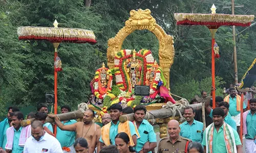 சீனிவாசமங்காபுரத்தில்  கார்த்திகை வனபோஜன உற்சவம்: 16-ந்தேதி நடக்கிறது