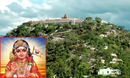 பழனி முருகன் கோவிலில் கார்த்திகை தீபத்திருவிழா 27-ந்தேதி தொடக்கம்