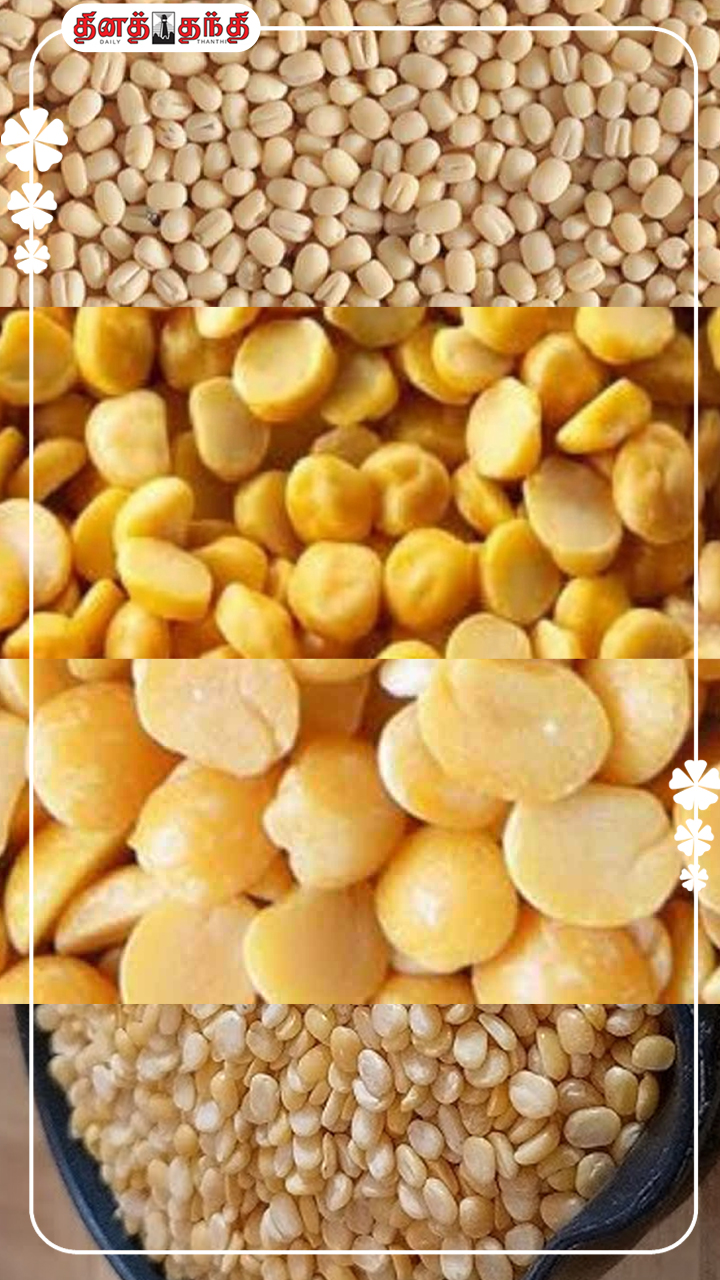 இது தெரியாதுன்னே..உடலை பாதுகாக்கும் பருப்பு வகைகள்.!!